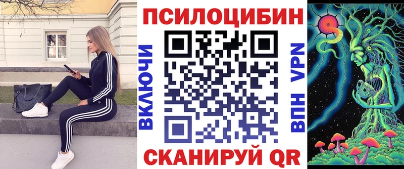 Псилоцибиновые грибы Psilocybine cubensis  наркота  МЕГА вход  Светогорск 