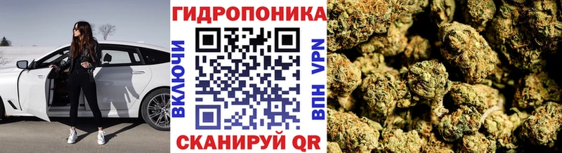 Марихуана индика  наркота  Светогорск 